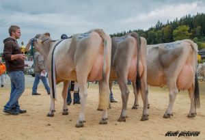 Podest Tagessiegerinnen - Jongleur Janka Blooming Fantasy und Tau Tamy alle WTS Genetics 3